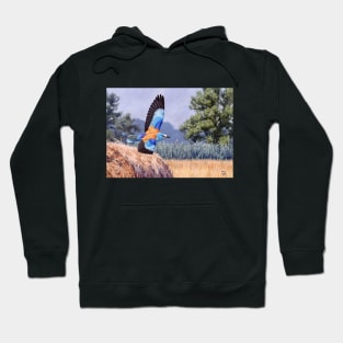 European Roller Hoodie